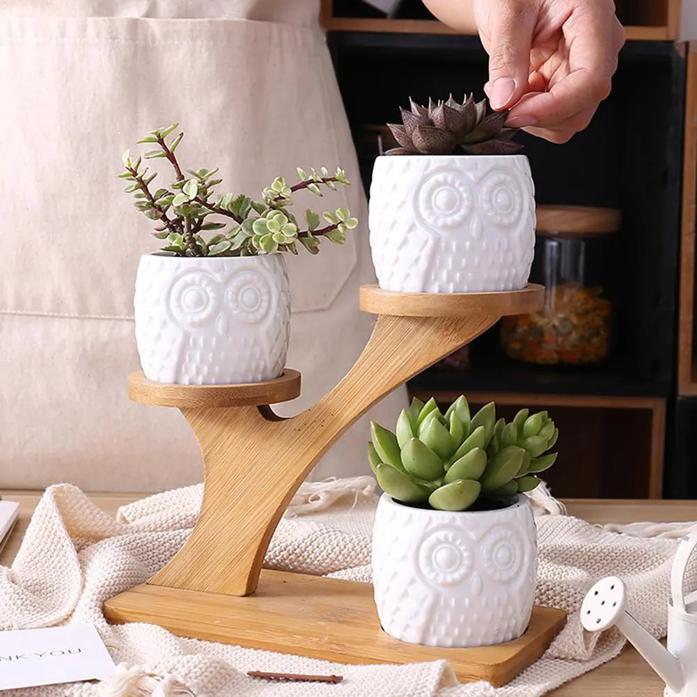 Petiete Succulent Pots
