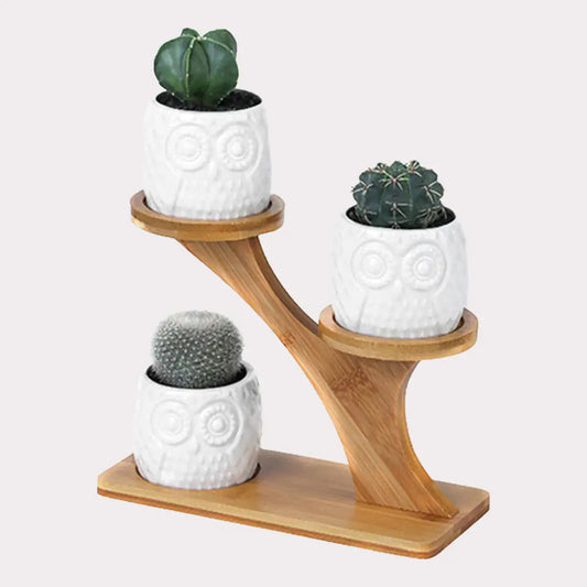 Petiete Succulent Pots