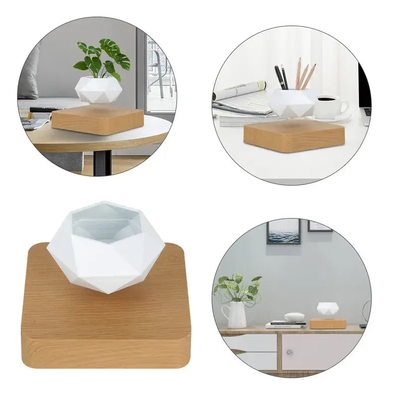 Evergreen Desk Plant Decor