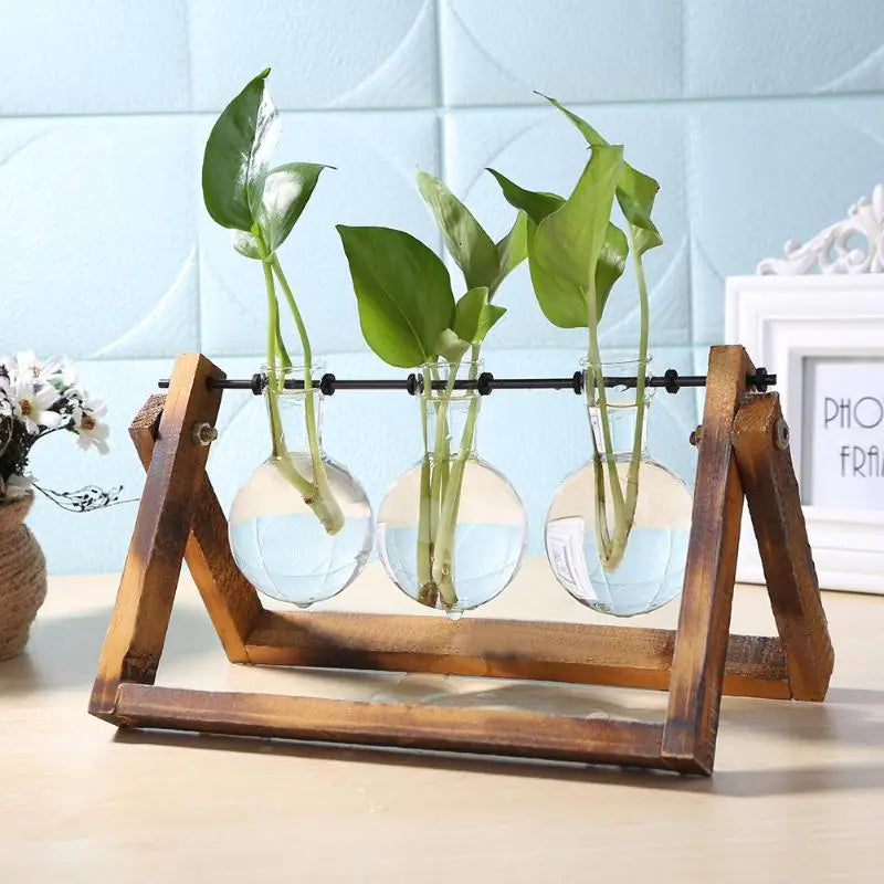 Glass And Timber Hydro Vase