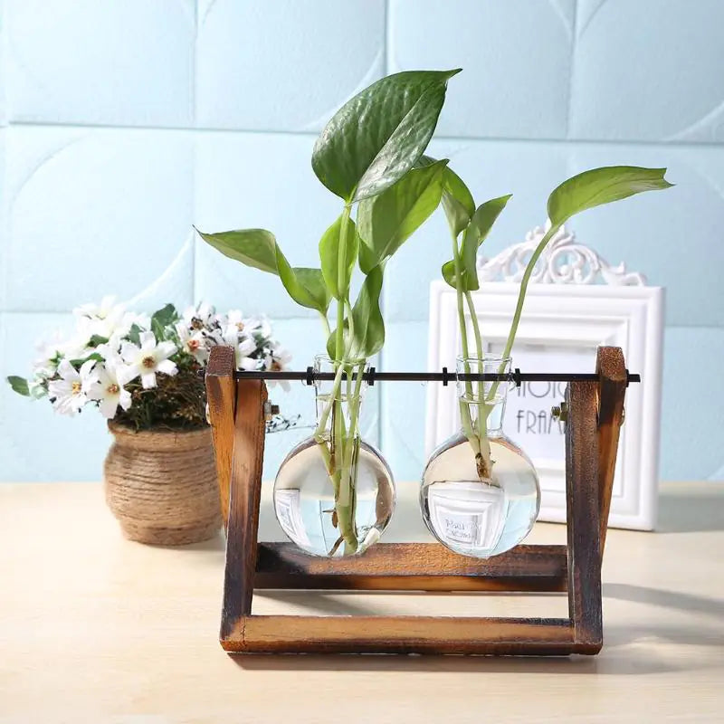 Glass And Timber Hydro Vase