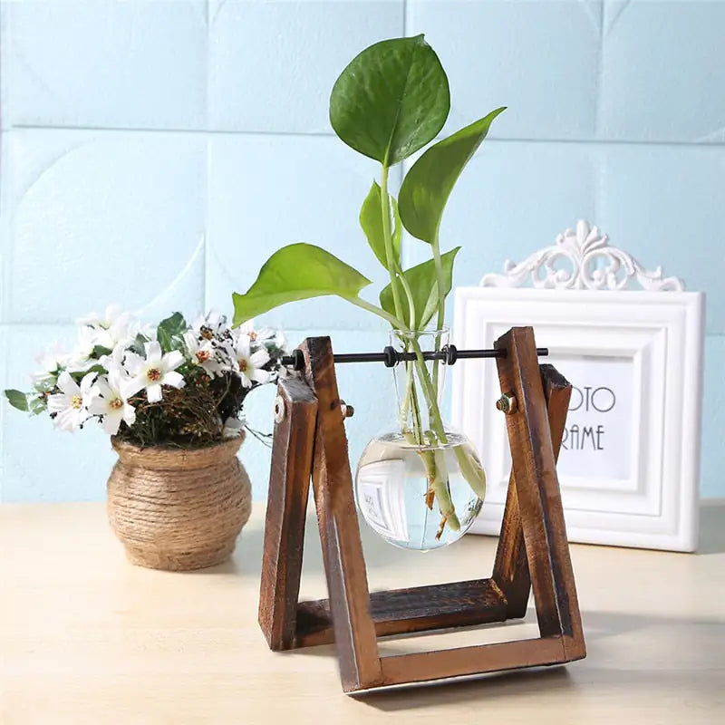 Glass And Timber Hydro Vase