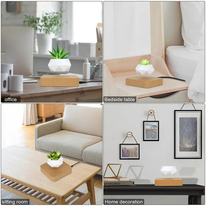Evergreen Desk Plant Decor